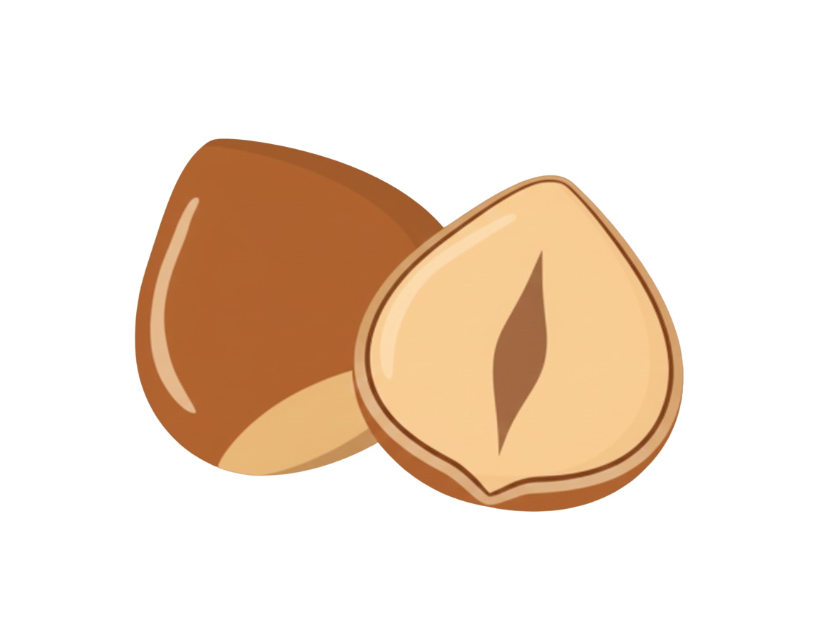 Décoration noisettes